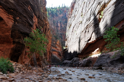 Hiking up the Narrows