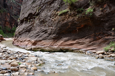 Hiking up the Narrows