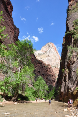 Leaving the Narrows