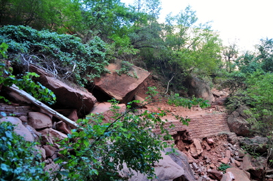 Storm-ravaged hiking trail