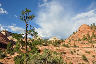 Zion