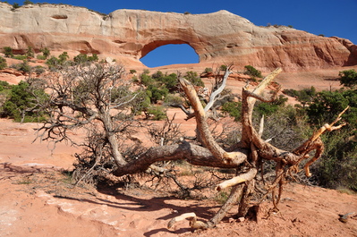 Our first arch!