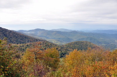 Better view on our drive