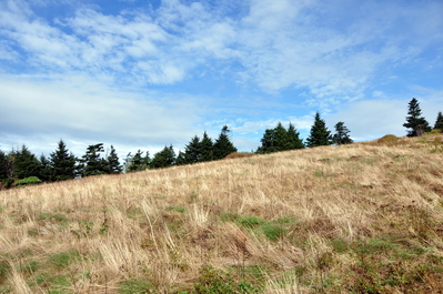 Re-hiking Round Bald