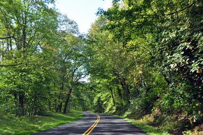 Great Smokey Mountains