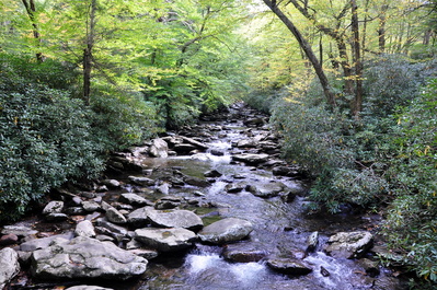 On the Alum Cave hike