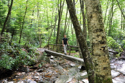 On the Alum Cave hike