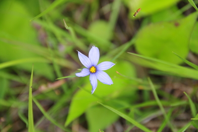 Awesome flower photo by Toni (Copyright t.bate 2008)