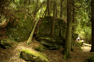 On the trail on Flowerpot Island