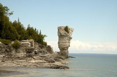 The large Flowerpot