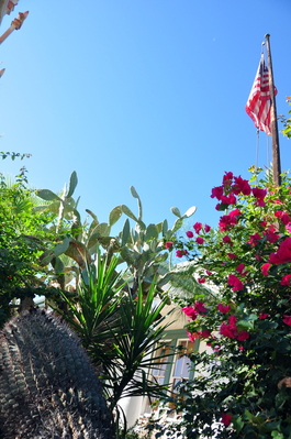 Cactus and flag outside our B&B