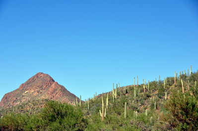 Hills and cactus outside the city