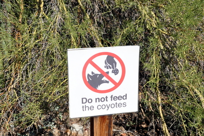 Awesome sign