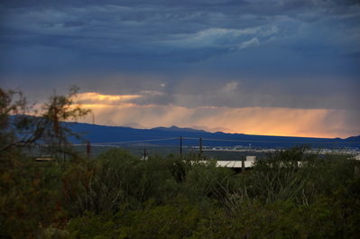Saguaro National Park