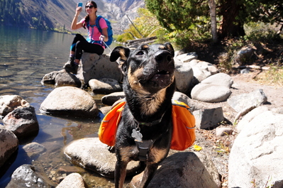 Taking a break with Callie the dog