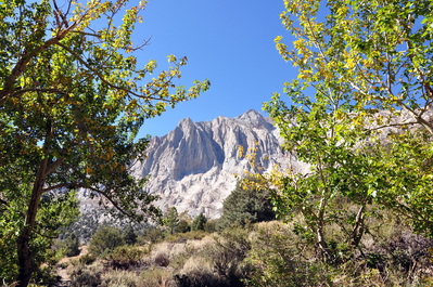 Hiking