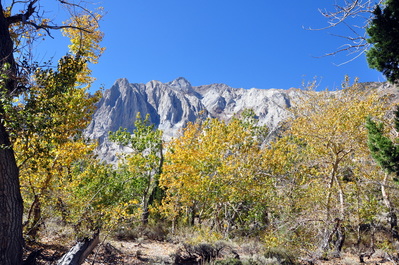 Hiking