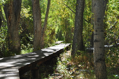 Hiking