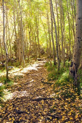 Hiking