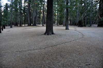 Oddly flat ground near the earthquake fissure