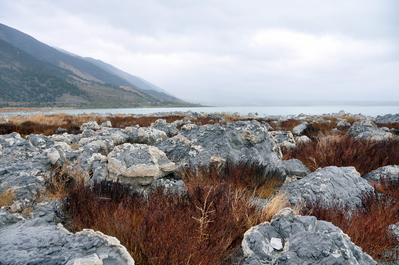 Mono Lake