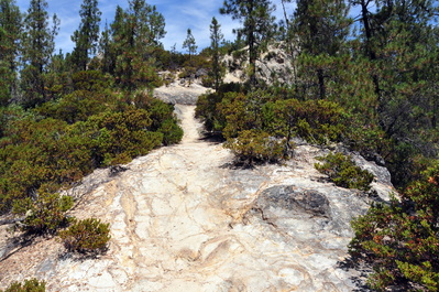 Approaching Buzzard's Peak