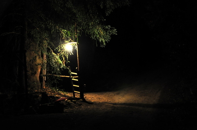 Spooky path at our Airbnb at night