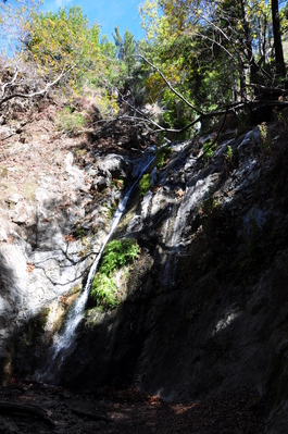 Hiking in the redwoods