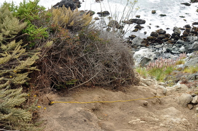 The sketchy rope we used to get up and down 