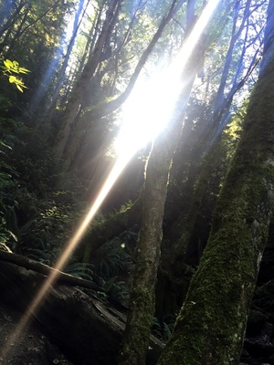 Hiking on Saturday