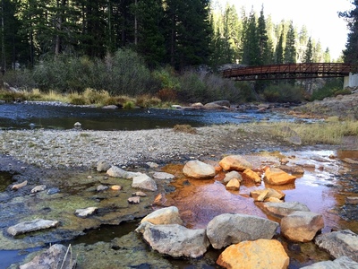 Sulphur springs