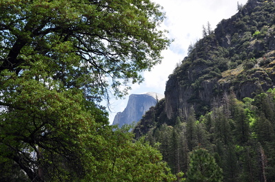 Half Dome in the distance