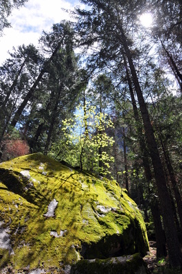 Hiking