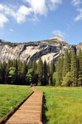 Meadow