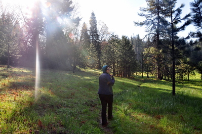 Walking in Hodgdon Meadow