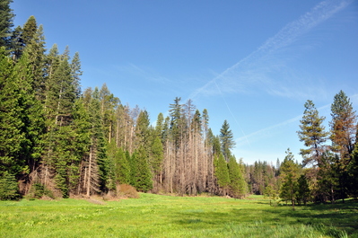Hodgdon Meadow