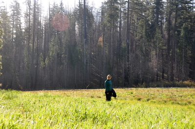 Hodgdon Meadow