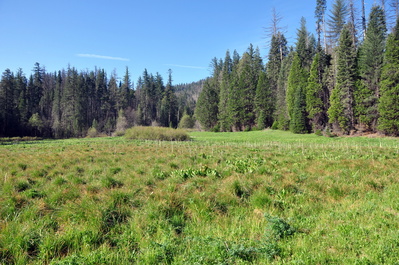 Hodgdon Meadow