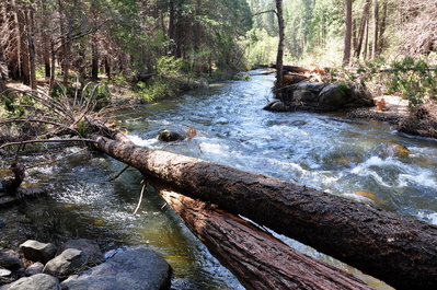 Hiking to Carlon Falls