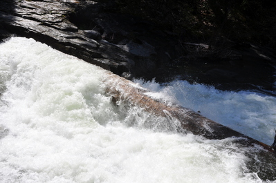 Above Carlon Falls