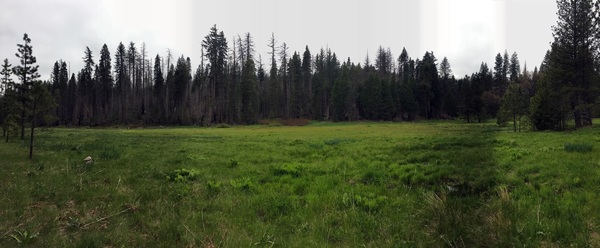 Hodgdon Meadow