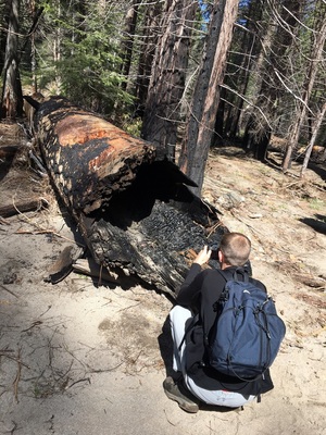 Hiking to Carlon Falls among burned trees